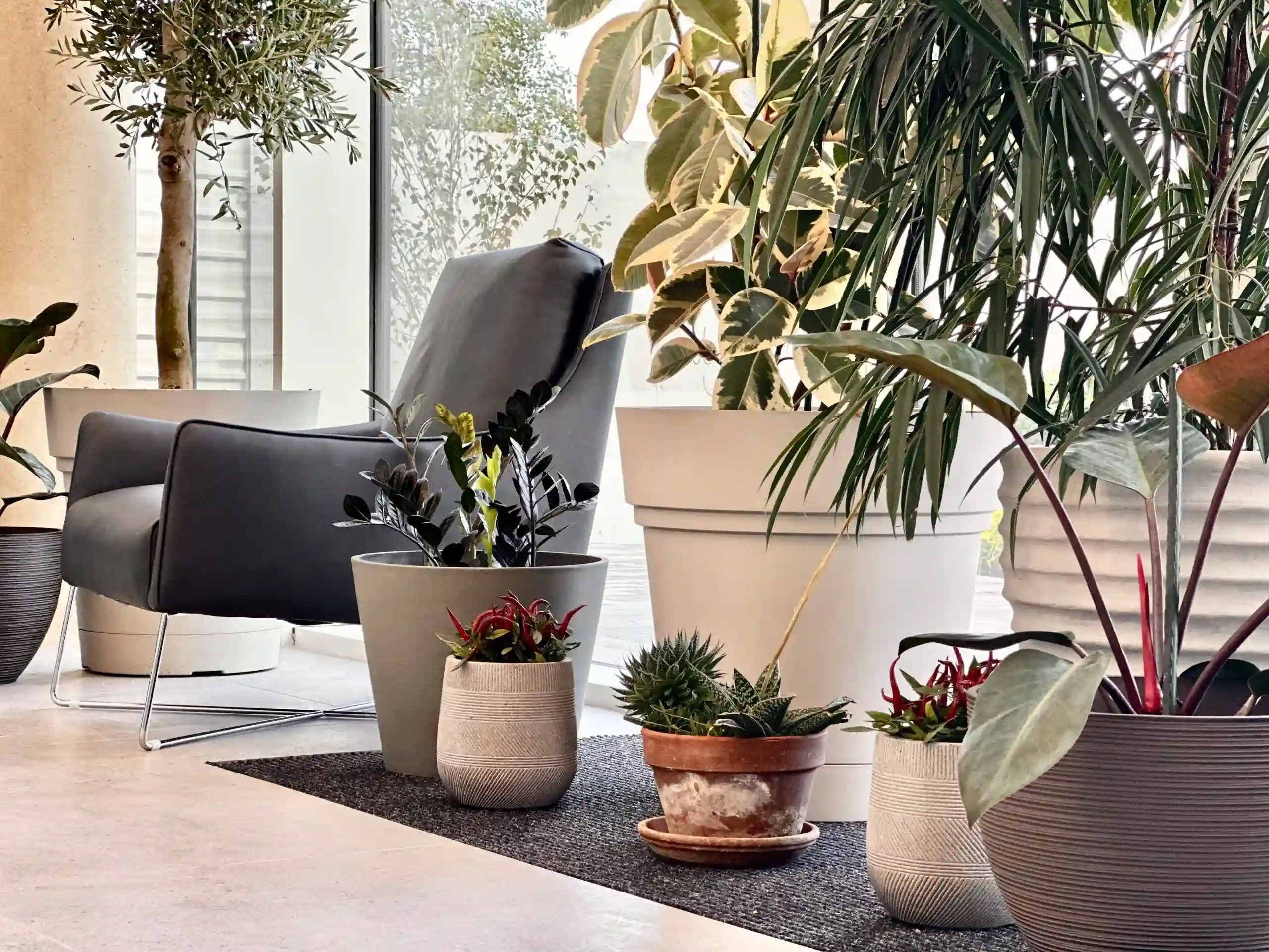 Person in pain from toothache needing emergency dental care